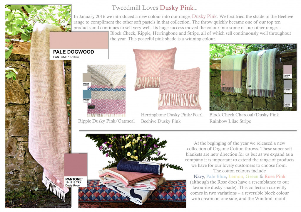 Colour Focus | July 2017