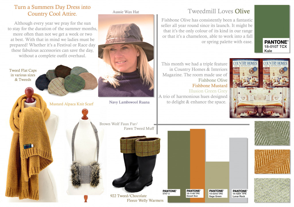 Colour Focus | August 2017