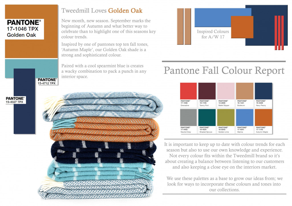 Colour Focus | September 2017