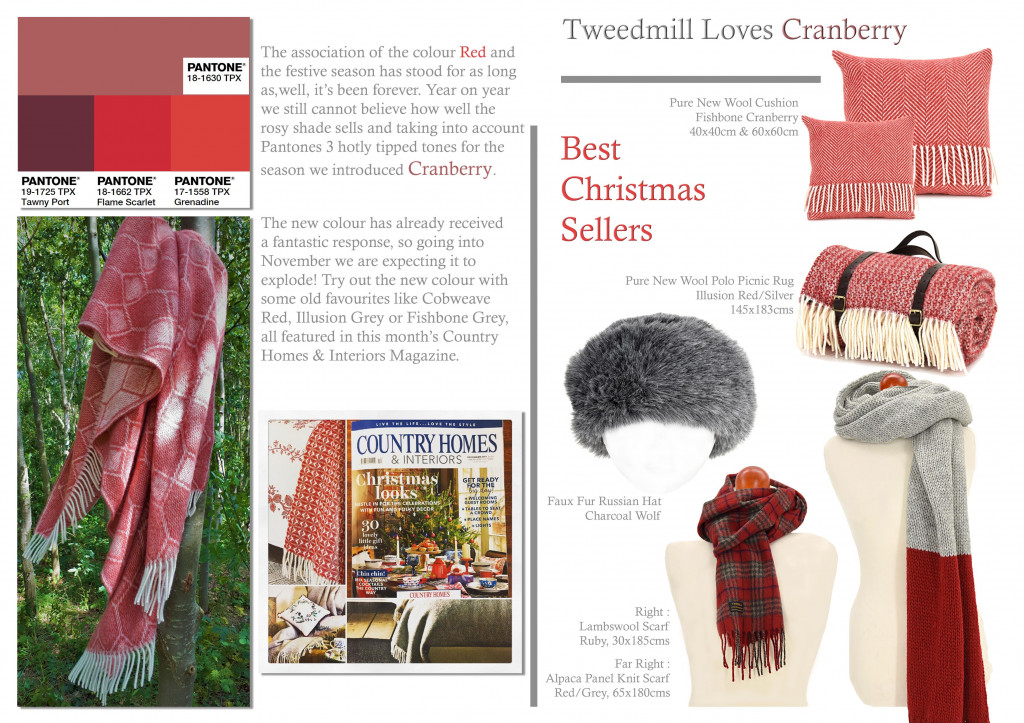 Colour Focus | November 2017