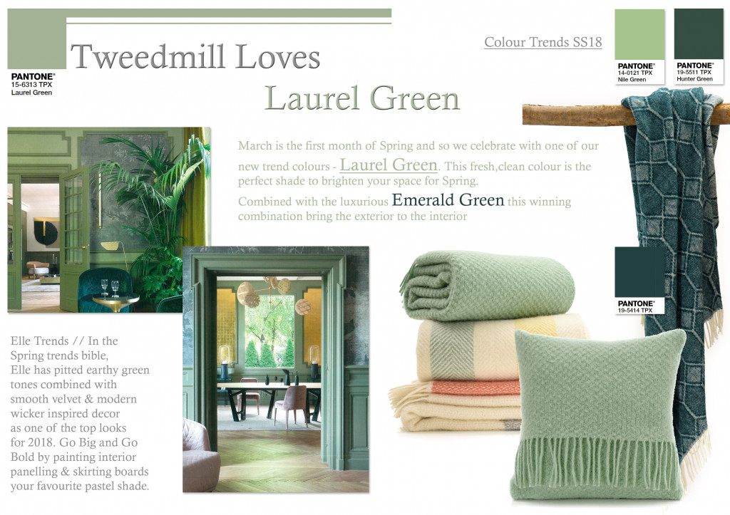 Colour Focus | March 2018