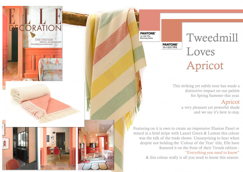 Colour Focus | April 2018