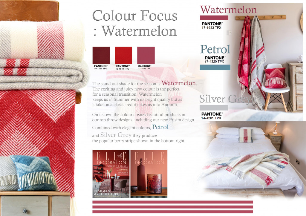 Colour Focus | November 2018