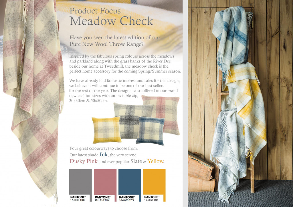 Product Focus | February 2019