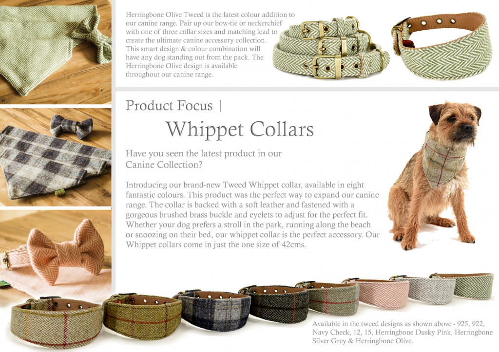 Product Focus | March 2019