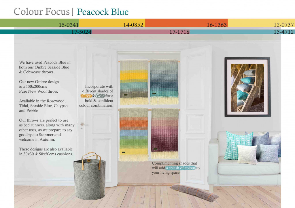 Colour Focus | August 2019