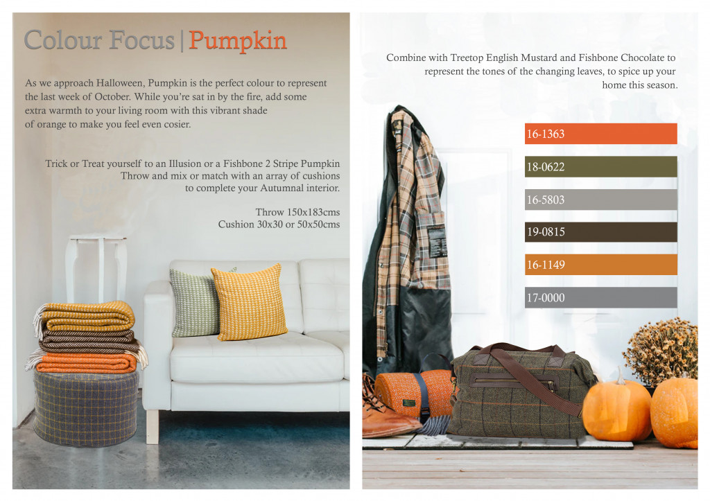 Colour Focus | October 2019