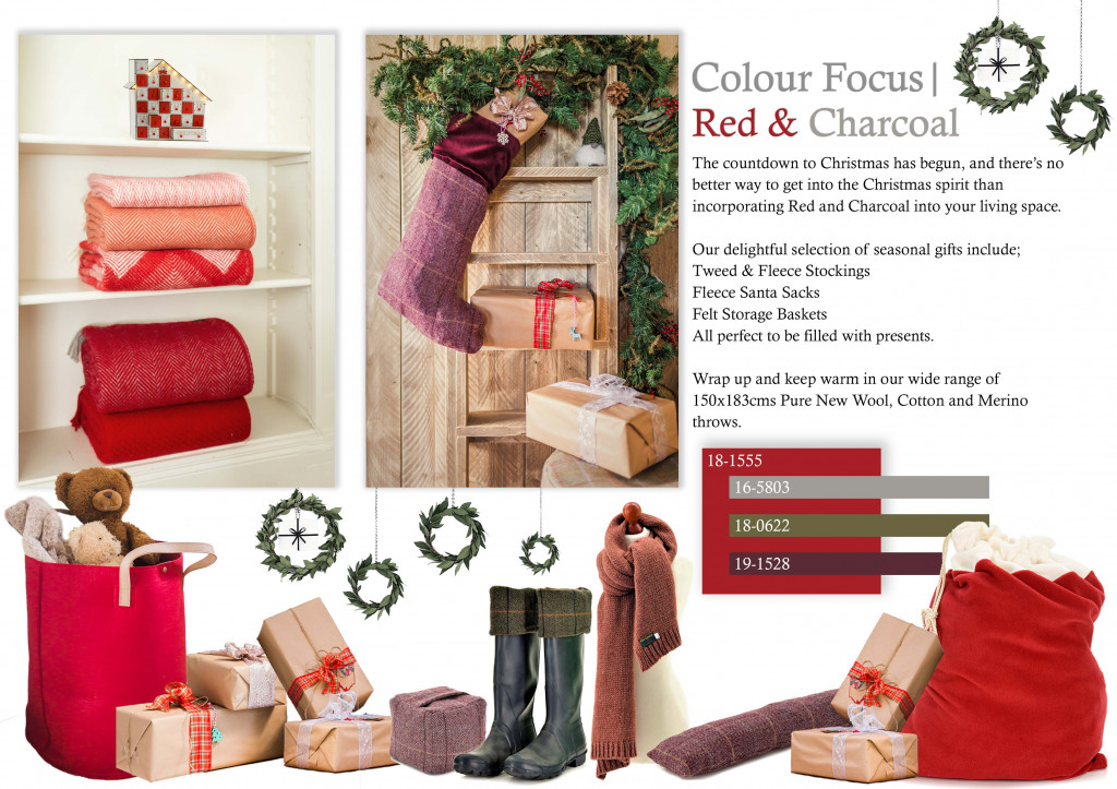 Colour Focus | November 2019