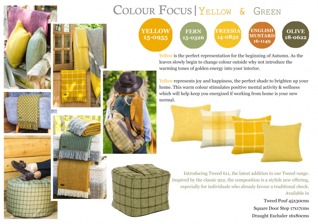 Colour Focus | September 2020
