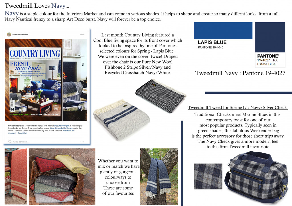 Colour Focus | March 2017