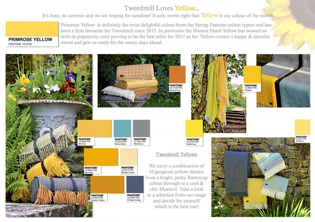 Colour Focus | June 2017