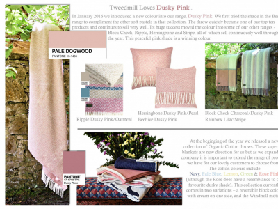 Colour Focus | July 2017