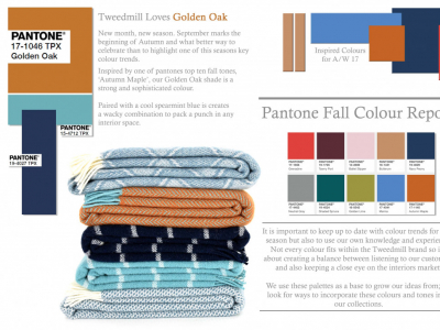 Colour Focus | September 2017