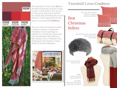 Colour Focus | November 2017