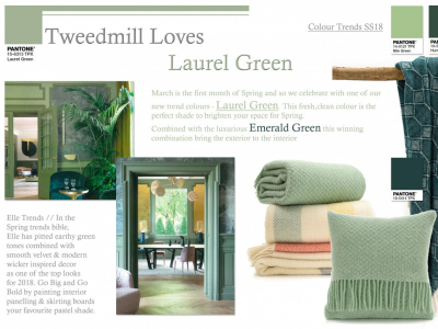 Colour Focus | March 2018