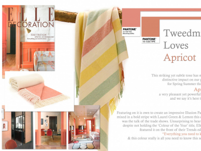 Colour Focus | April 2018