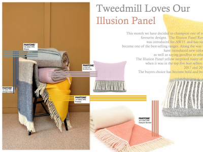 Product Focus | June 2018