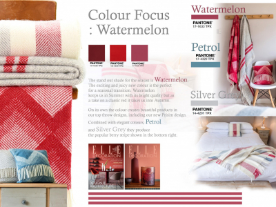 Colour Focus | November 2018