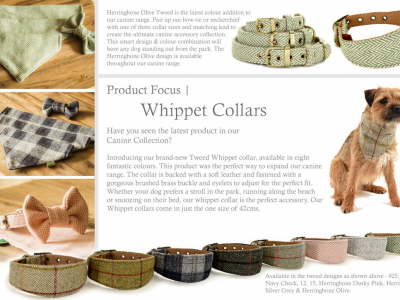 Product Focus | March 2019