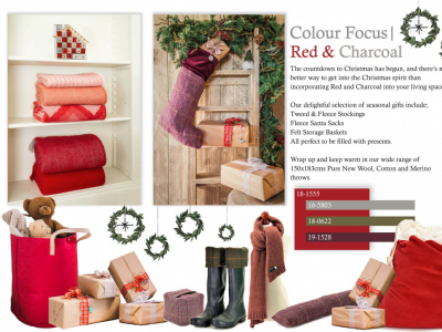 Colour Focus | November 2019