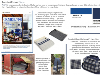 Colour Focus | March 2017