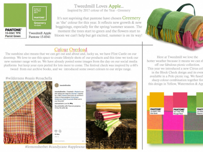 Colour Focus | May 2017