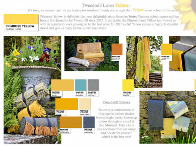 Colour Focus | June 2017